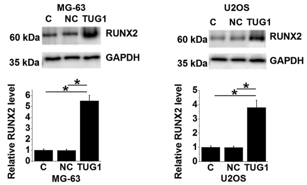 Figure 6.