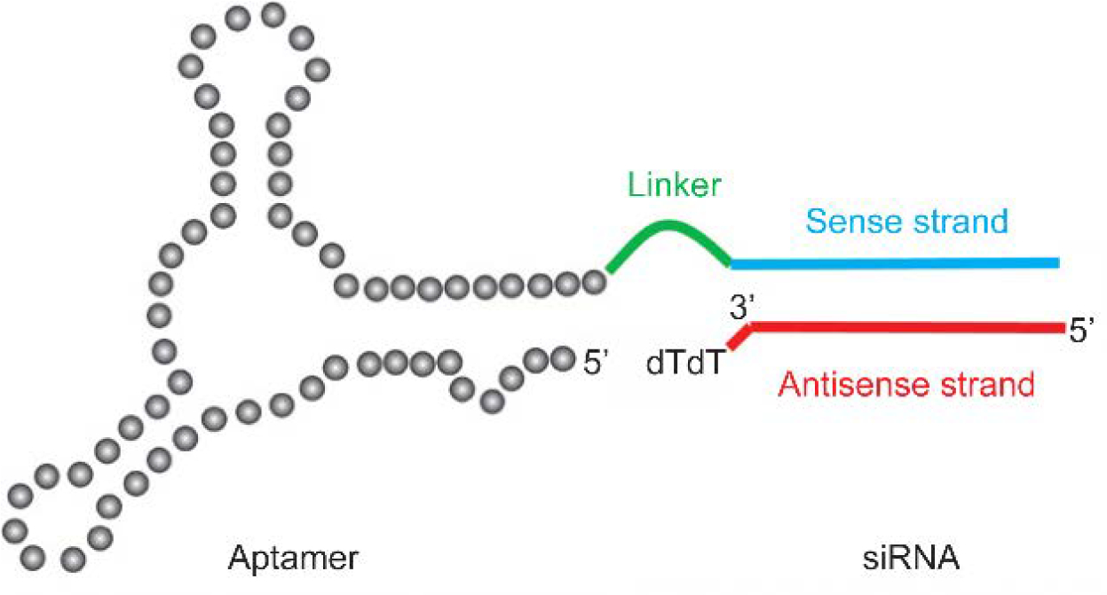 Figure 10.