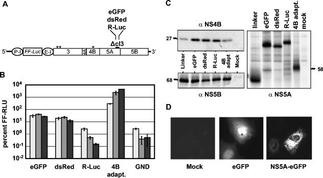 FIG. 4.