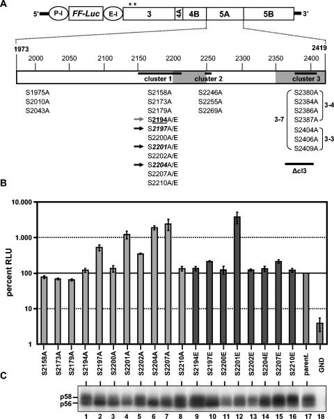 FIG. 1.