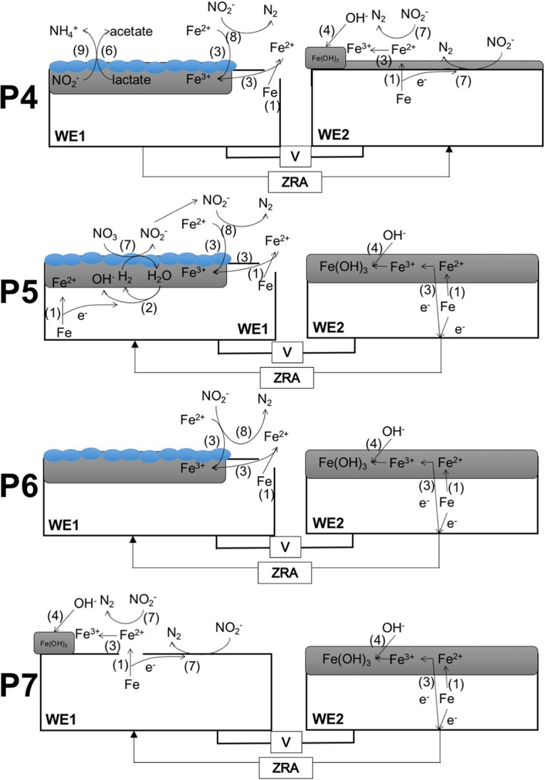 FIG 2