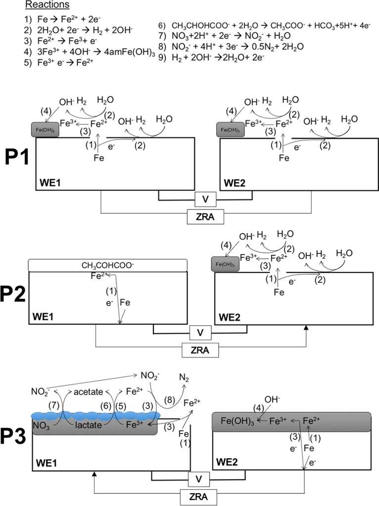 FIG 2