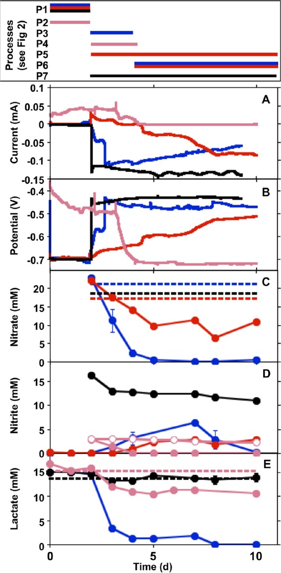 FIG 1