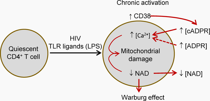 Figure 1.-