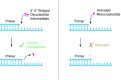 Graphical Abstract