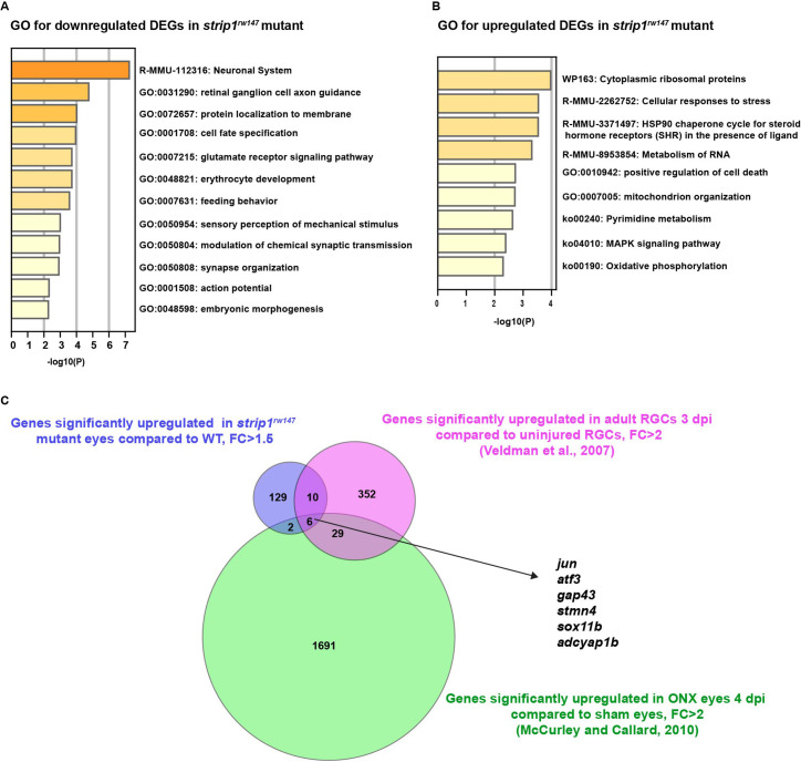 Figure 6—figure supplement 1.