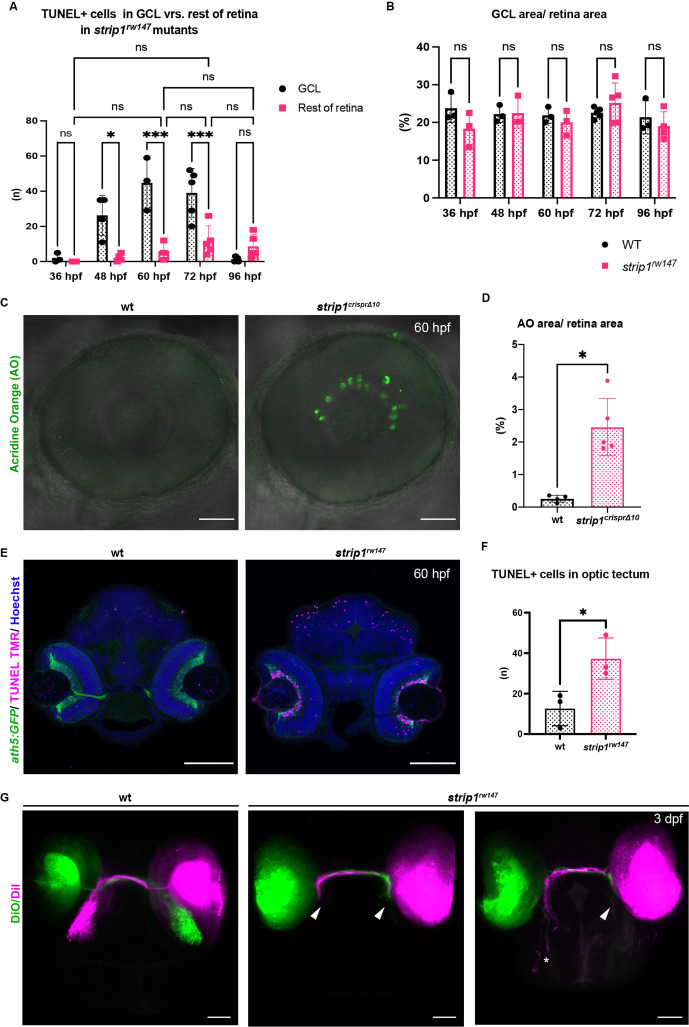 Figure 3—figure supplement 1.