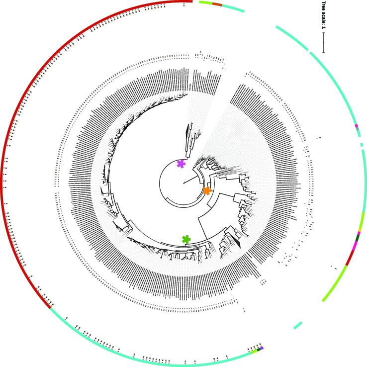 Fig. 7