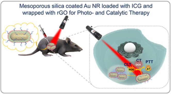 graphic file with name ao2c01306_0008.jpg