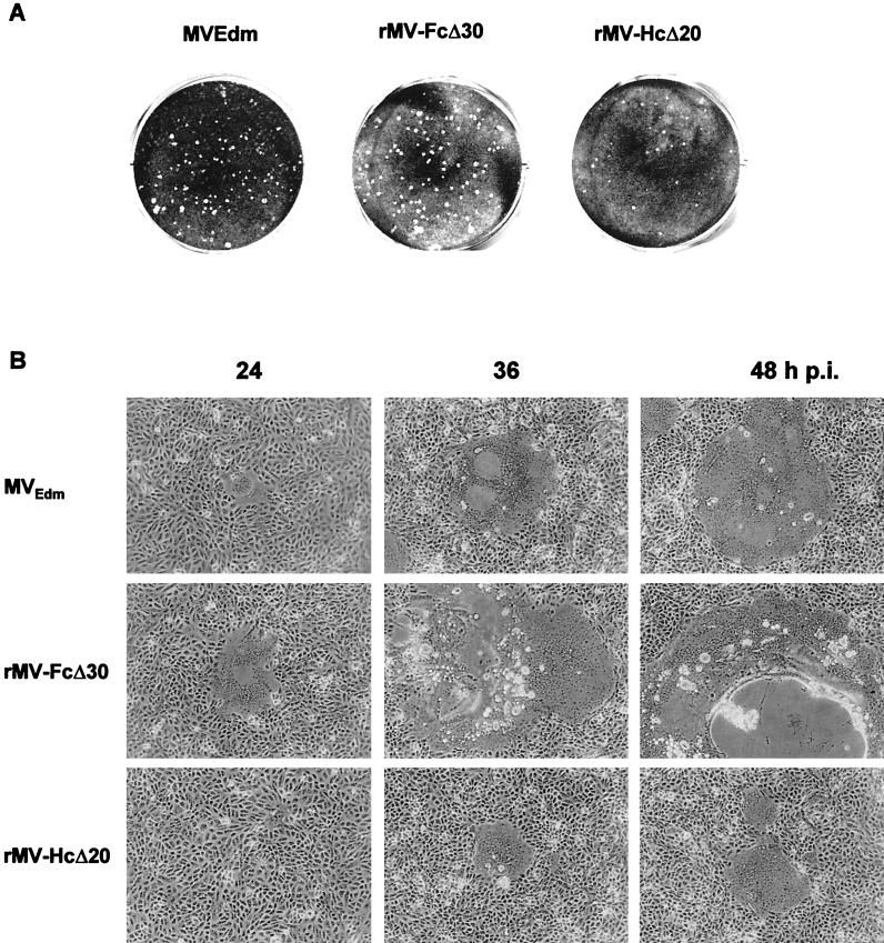 FIG. 8.