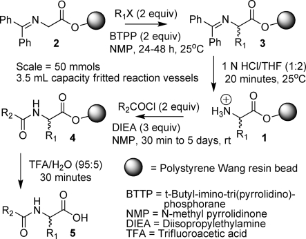 Scheme 2