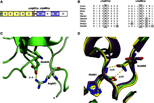 Figure 2