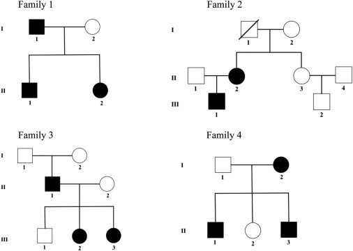 Figure 1