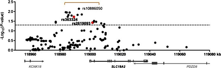 Fig. 1