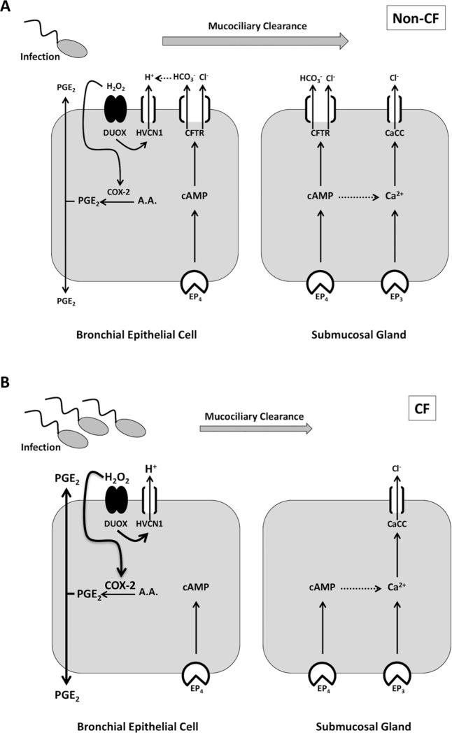 Fig 8