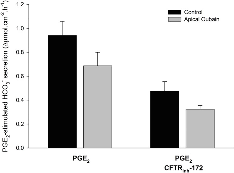 Fig 7