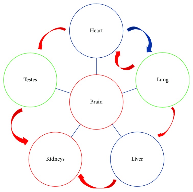 Figure 5