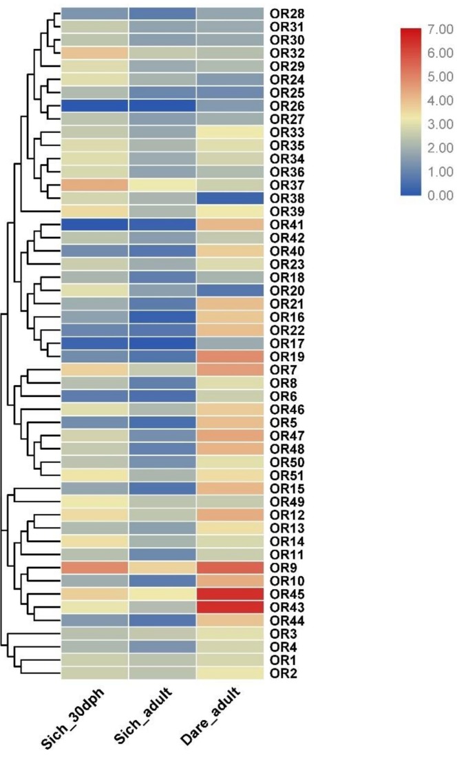 Figure 5