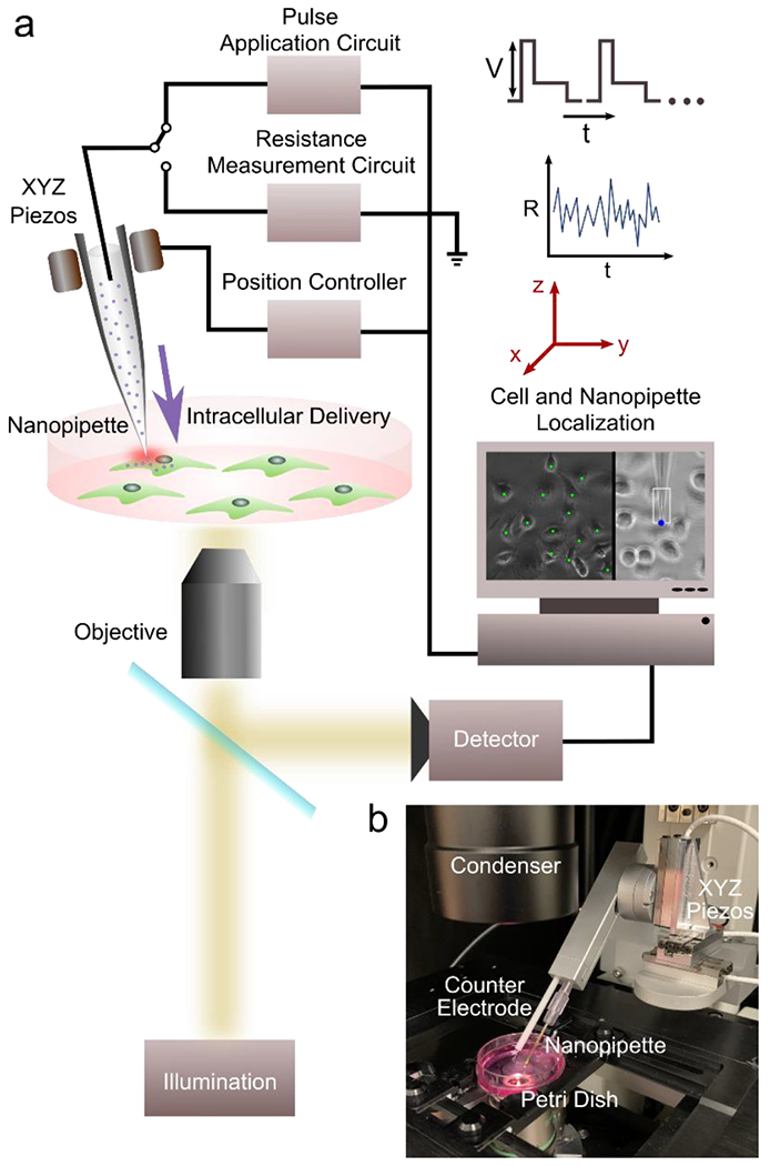 Figure 1: