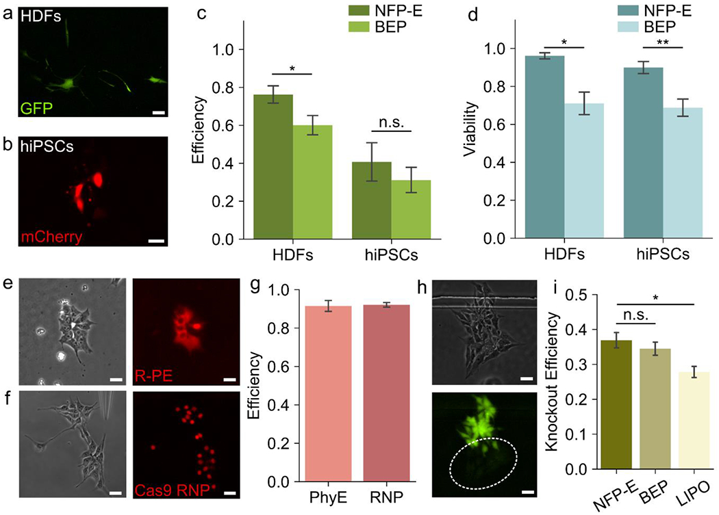 Figure 3: