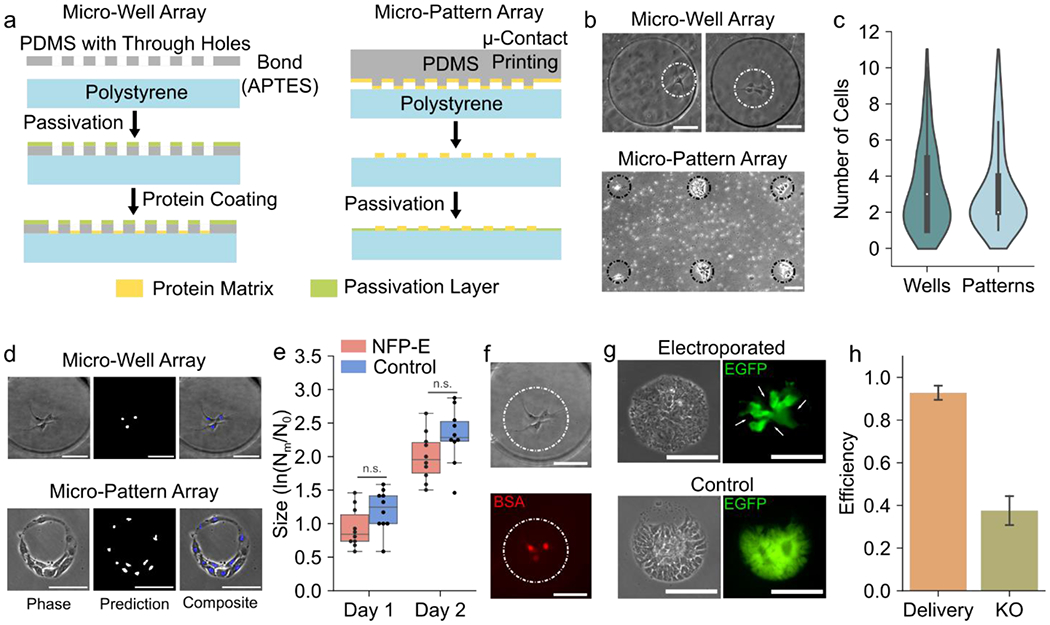 Figure 4: