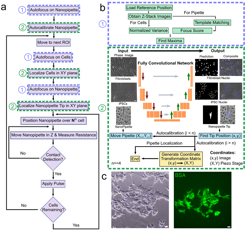 Figure 2: