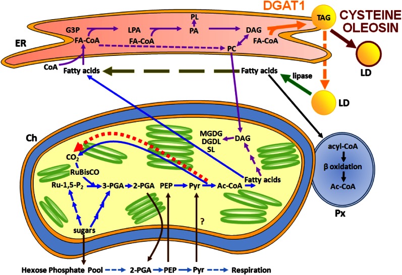 Figure 6.