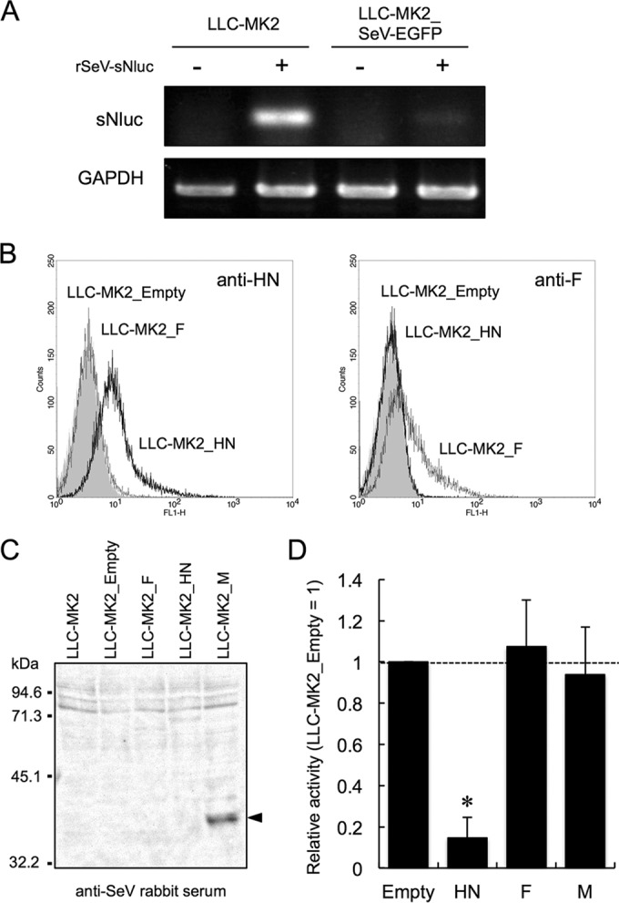 FIG 3