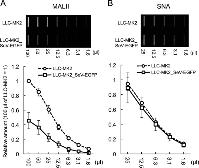 FIG 4