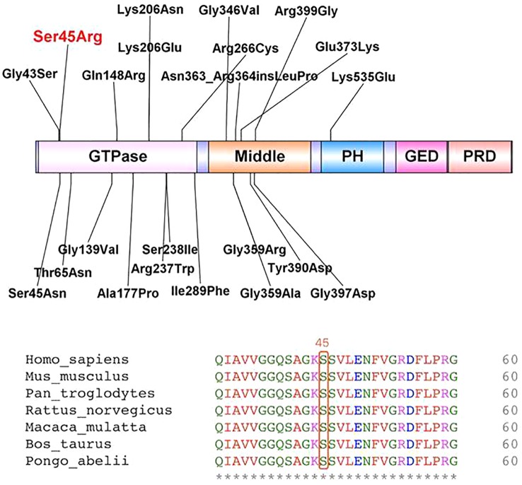 Figure 6