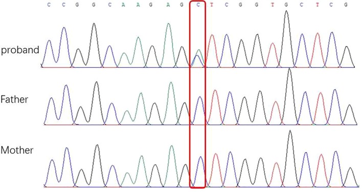 Figure 5