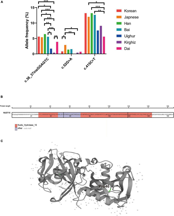 FIGURE 3