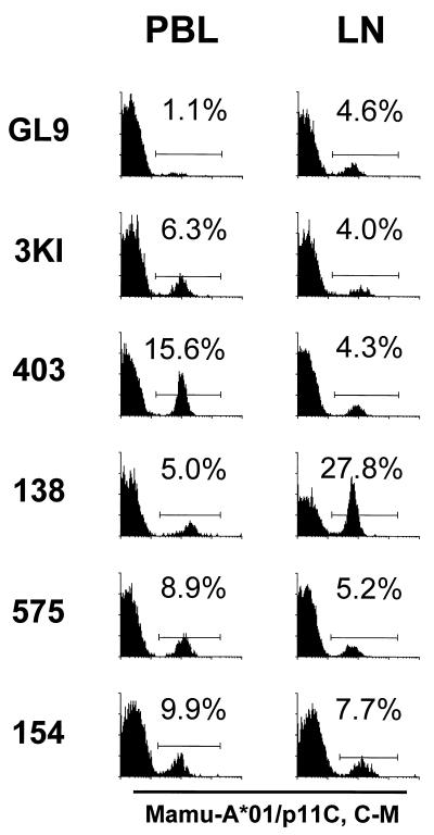 FIG. 1