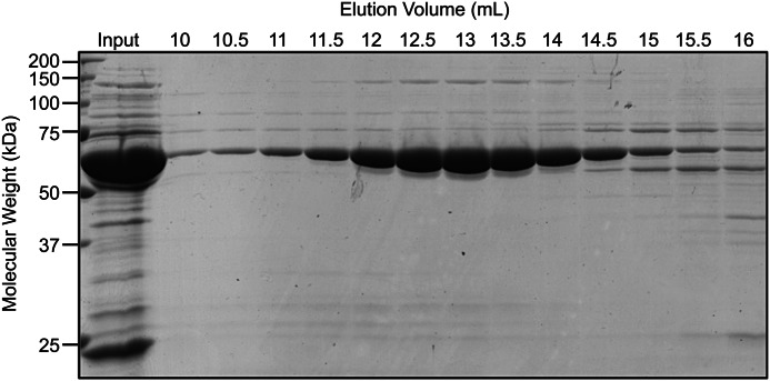 FIGURE 3.