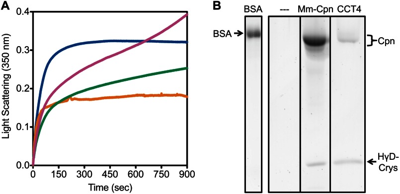 FIGURE 10.