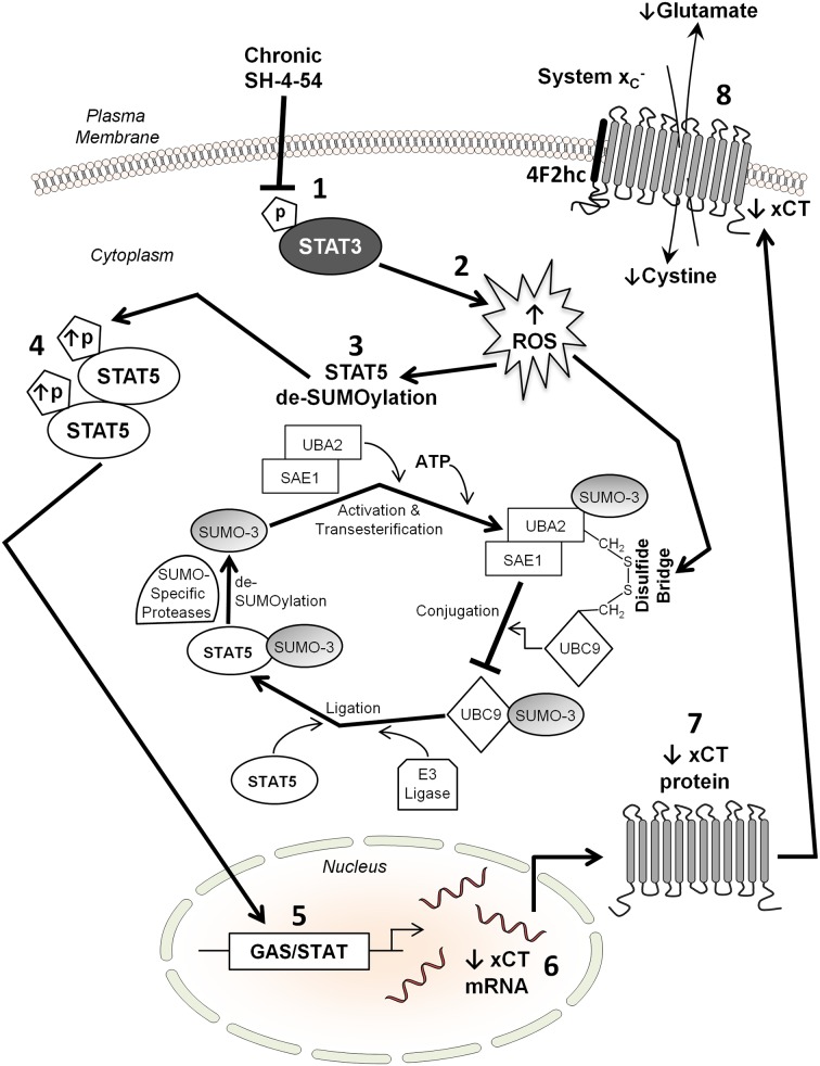 Fig 7