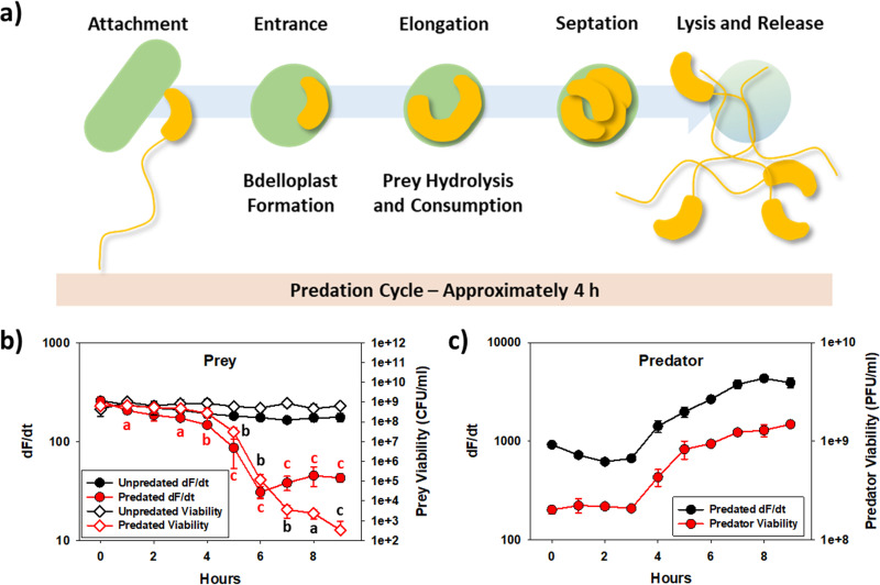 FIG 2