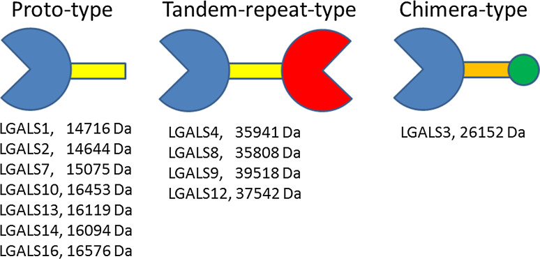 Fig. 1