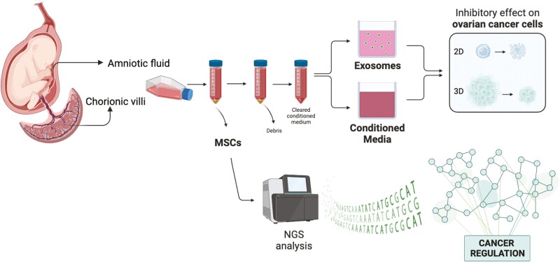 Graphical Abstract