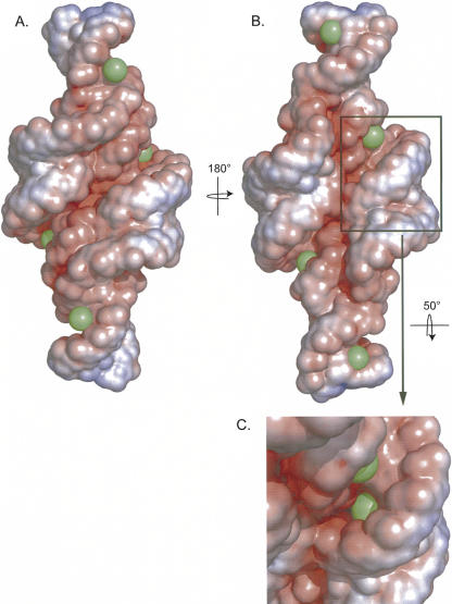 FIGURE 8.