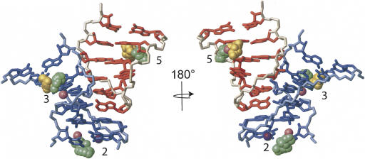 FIGURE 7.