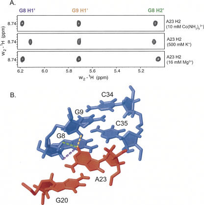 FIGURE 4.