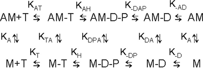 Scheme 1.