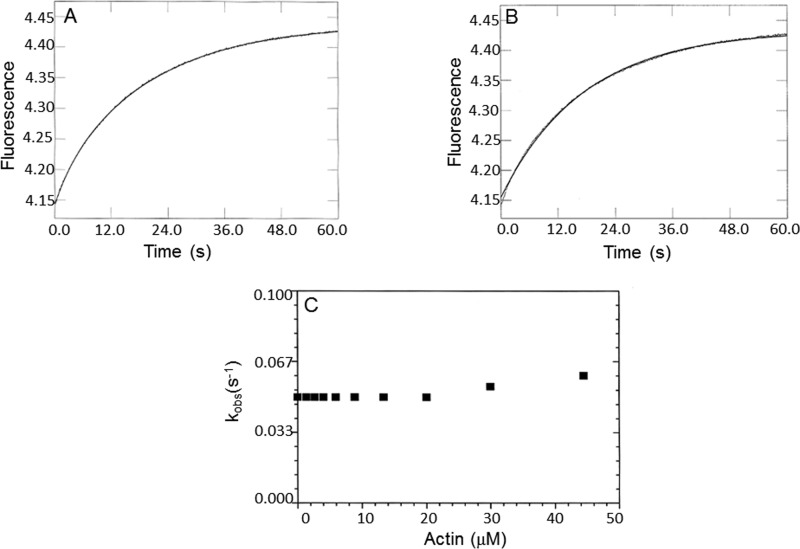 Figure 9.