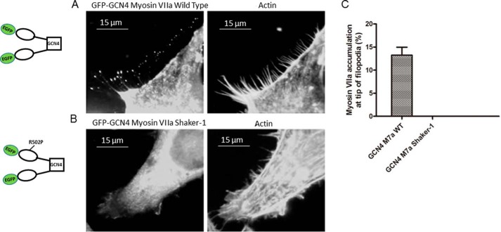 Figure 10.