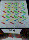 Figure 4 |