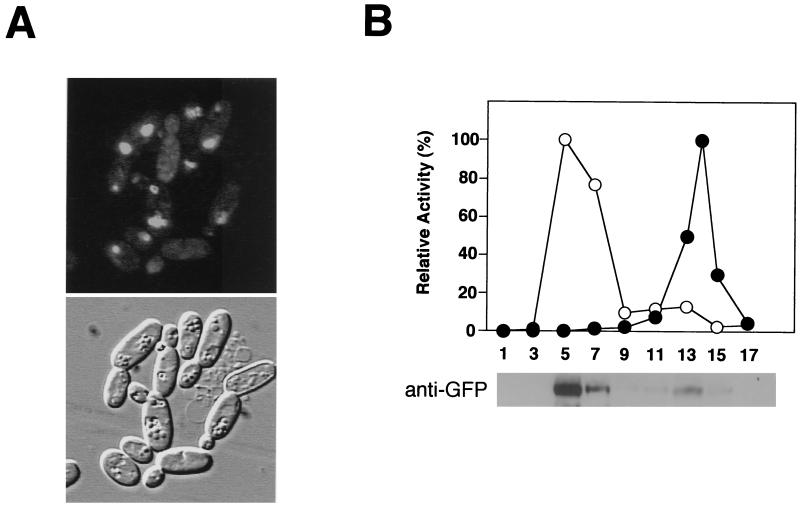 FIG. 6