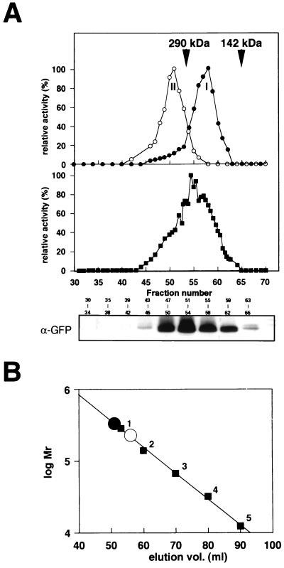 FIG. 7