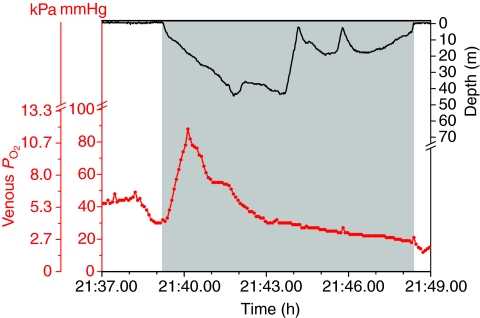 Fig. 6.