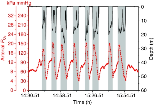 Fig. 3.